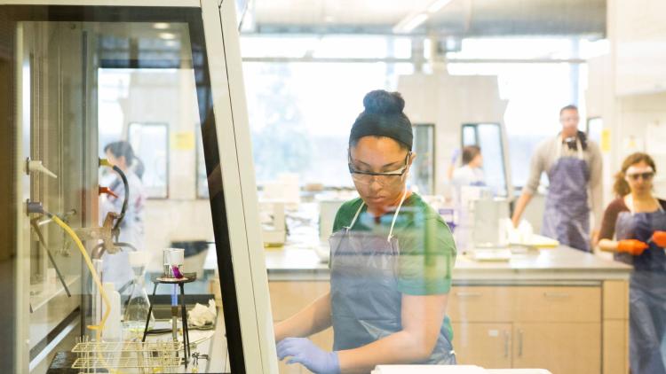 Research at Princeton University