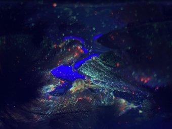 Microplastic experiment with fluorescent particles (Photo via Project Plastic)